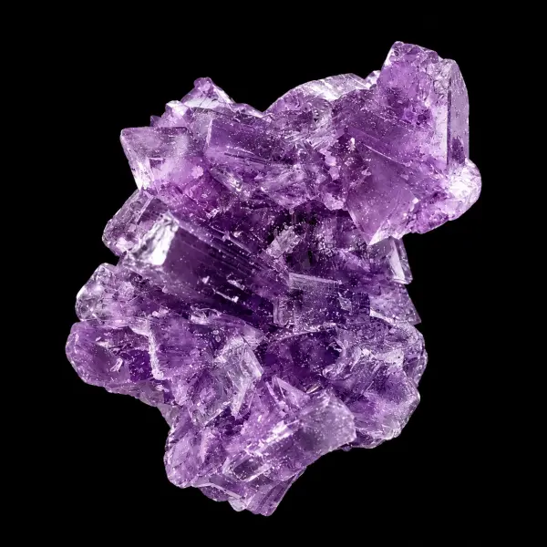 Neptune Molly